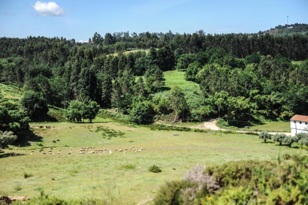 Vumba Agroturismo Arganil Dış mekan fotoğraf