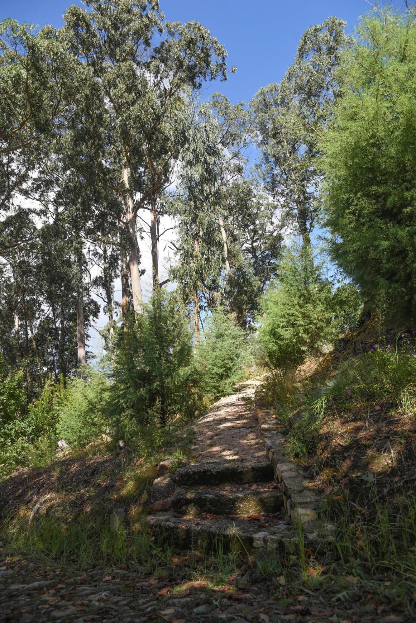 Vumba Agroturismo Arganil Dış mekan fotoğraf
