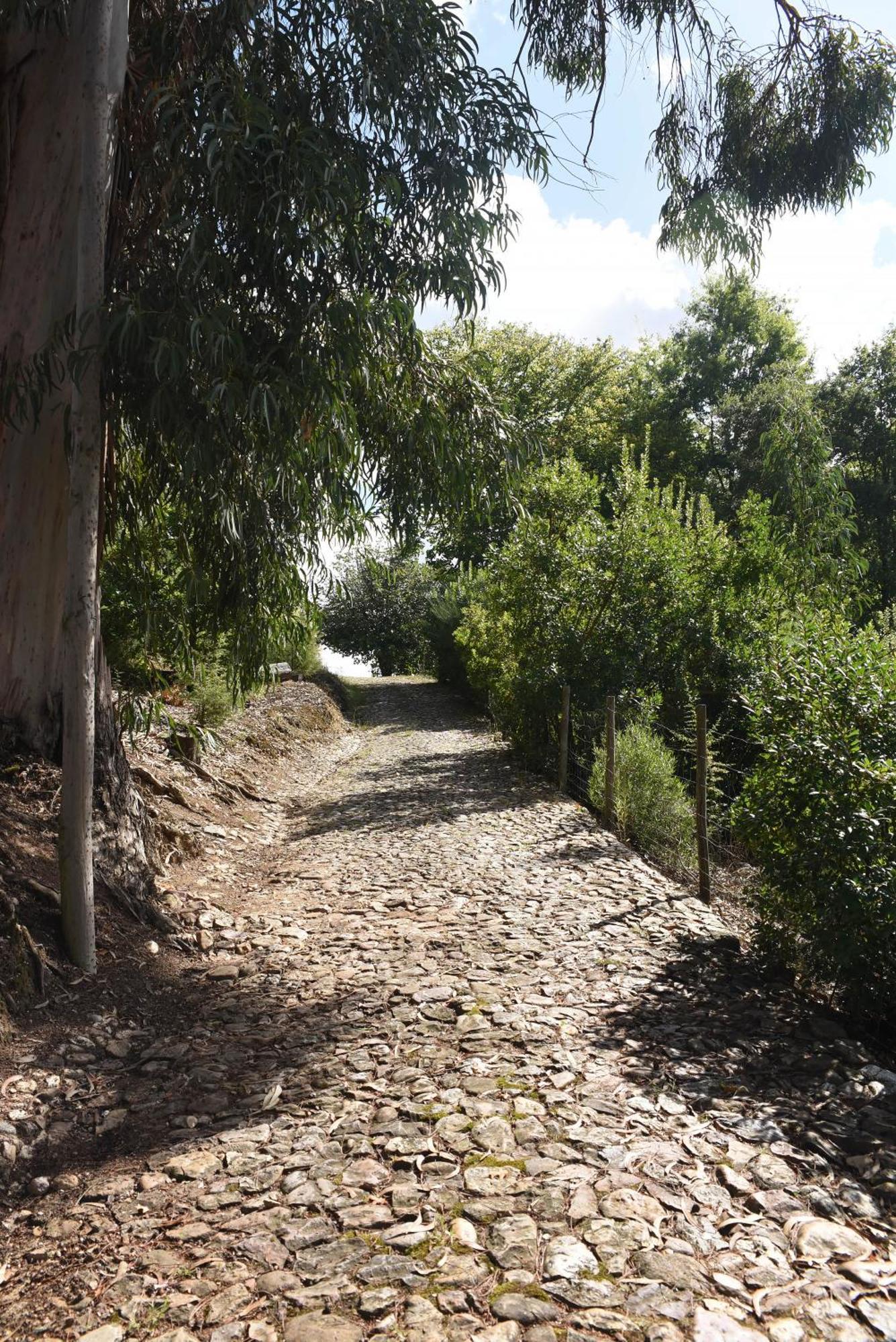 Vumba Agroturismo Arganil Dış mekan fotoğraf